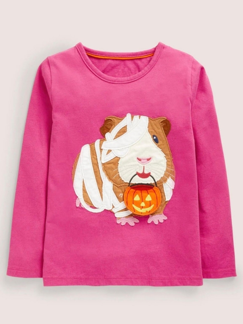 New Boden Long-Sleeve Tee with Guinea Pig Halloween Appliqué 8-9y